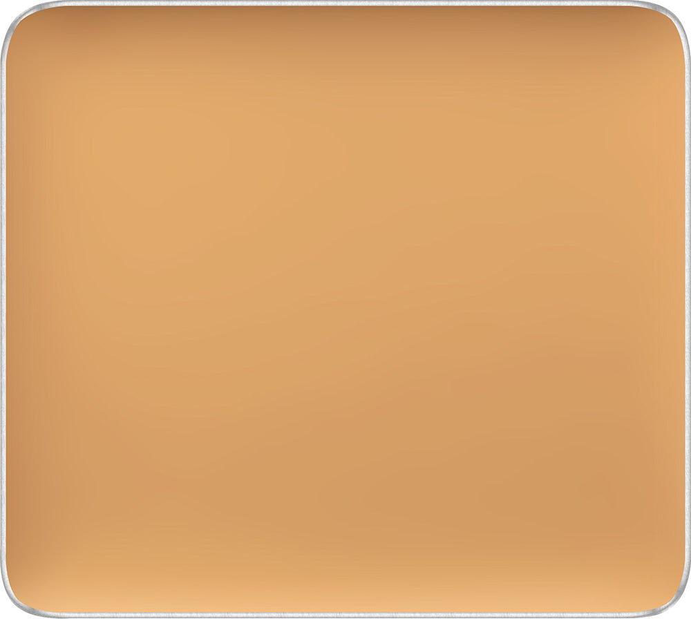 (FS CAMOUFLAGE CONCEALER)
