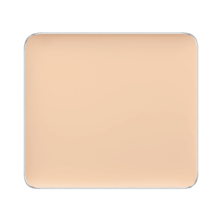 (FS CAMOUFLAGE CONCEALER)