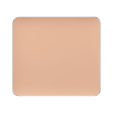 (FS CAMOUFLAGE CONCEALER)