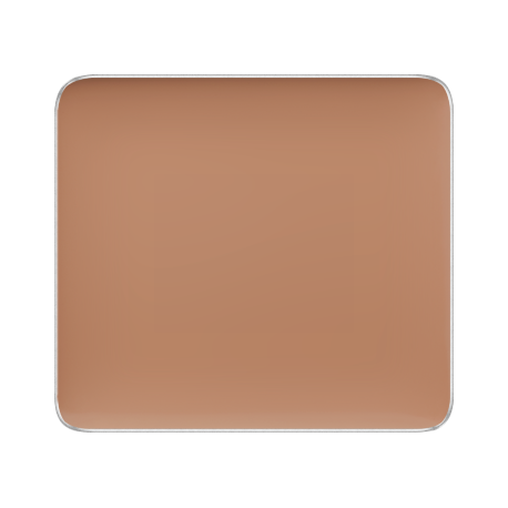 (FS CAMOUFLAGE CONCEALER)