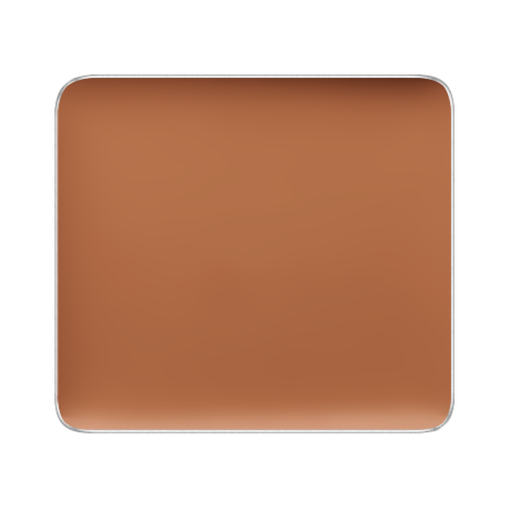 (FS CAMOUFLAGE CONCEALER)