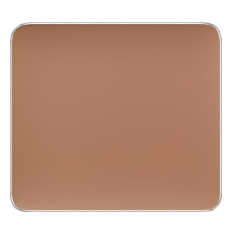 (FS CAMOUFLAGE CONCEALER)