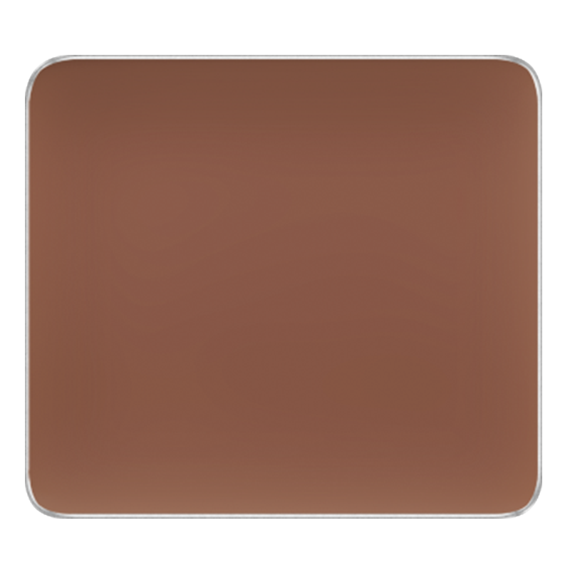 (FS CAMOUFLAGE CONCEALER)