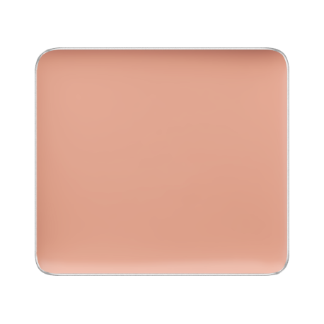 (FS CAMOUFLAGE CONCEALER)