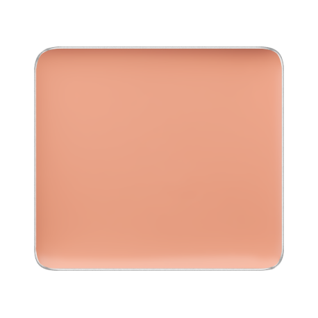 (FS CAMOUFLAGE CONCEALER)