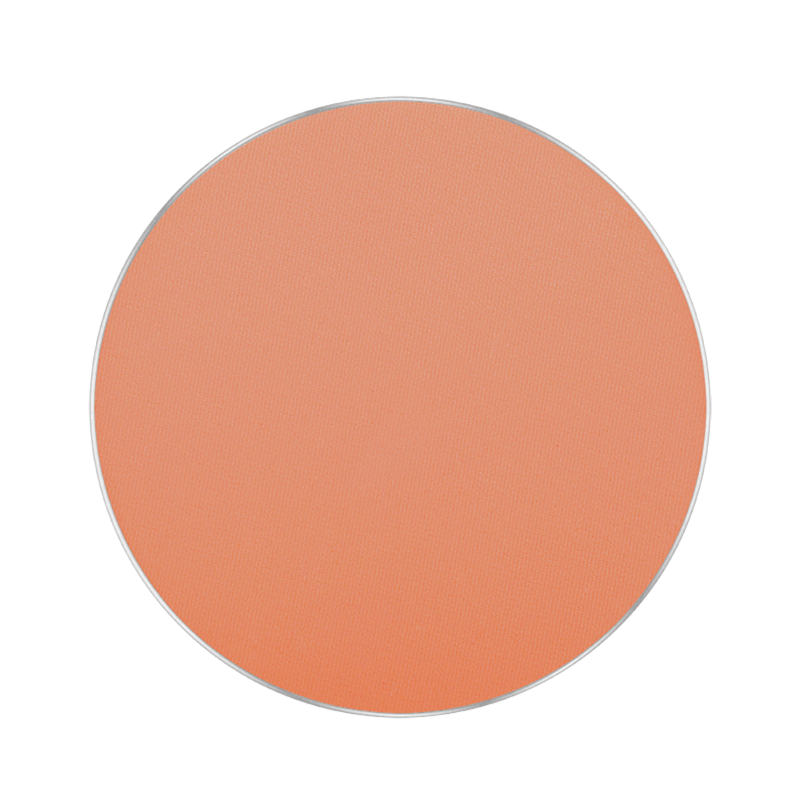(FREEDOM SYSTEM MATTIFYING PRESSED POWDER ROUND)