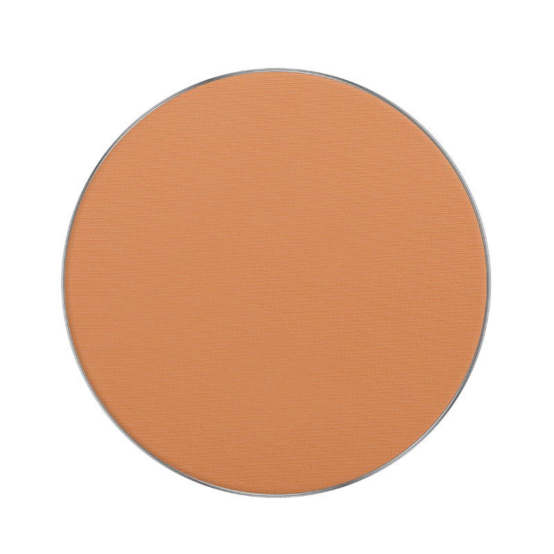FREEDOM SYSTEM AMC PRESSED POWDER ROUND