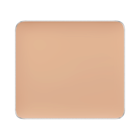 FS CAMOUFLAGE CONCEALER