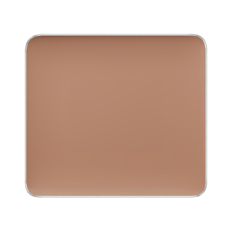 FS CAMOUFLAGE CONCEALER