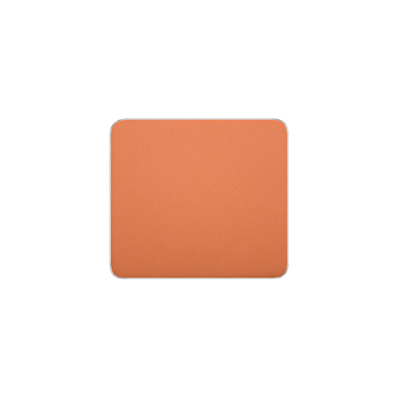 FREEDOM SYSTEM EYE SHADOW MATTE