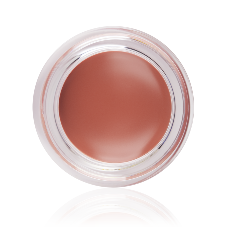 AMC LIP PAINT