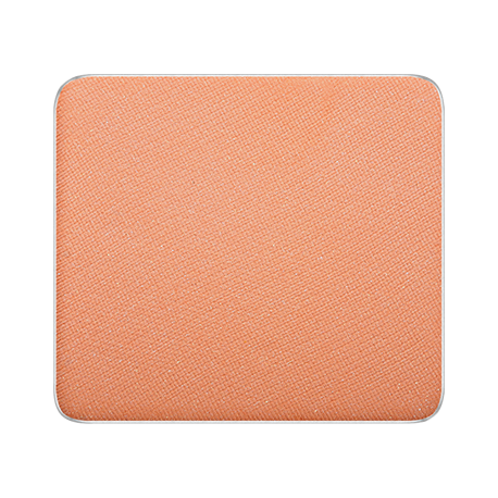 FREEDOM SYSTEM EYE SHADOW DS