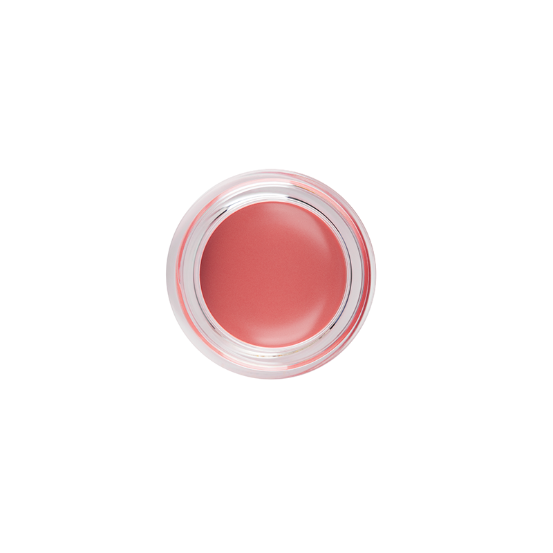 AMC LIP PAINT