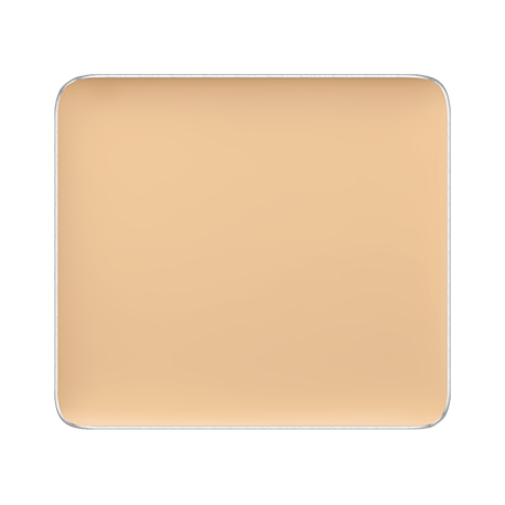 FREEDOM SYSTEM CREAM CONCEALER