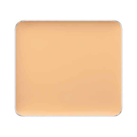FREEDOM SYSTEM CREAM CONCEALER
