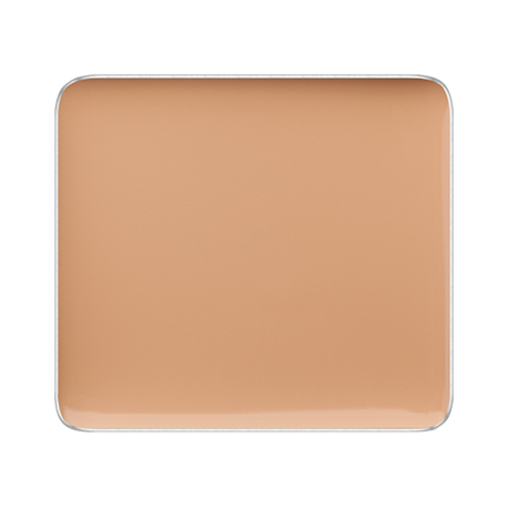 FREEDOM SYSTEM CREAM CONCEALER