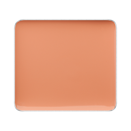 FREEDOM SYSTEM CREAM CONCEALER