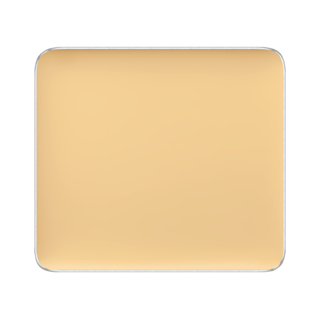 FREEDOM SYSTEM CREAM CONCEALER